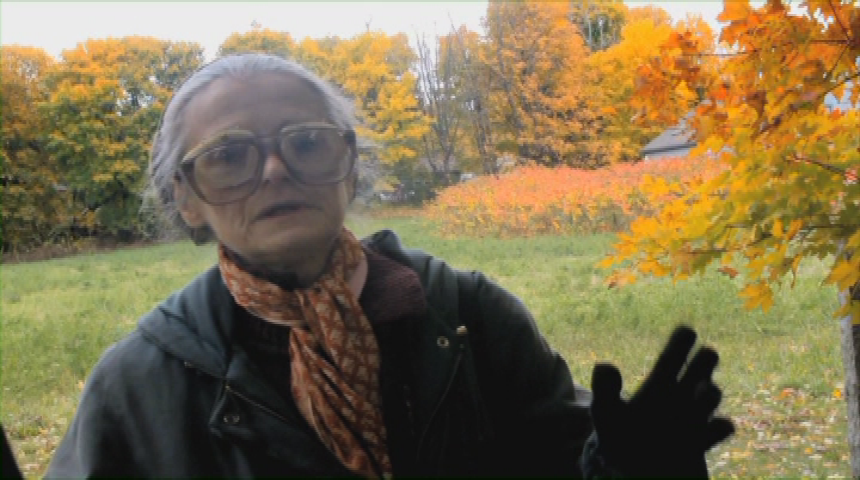 Explore: Salem Witch Hunt
