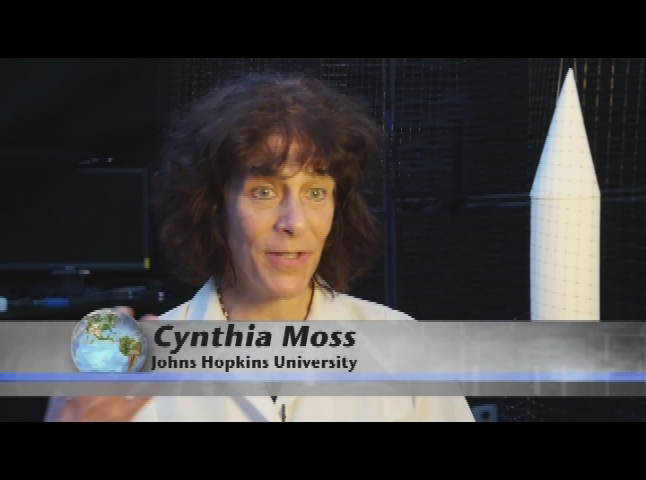 Vintage TV: Four Star Playhouse: Answer