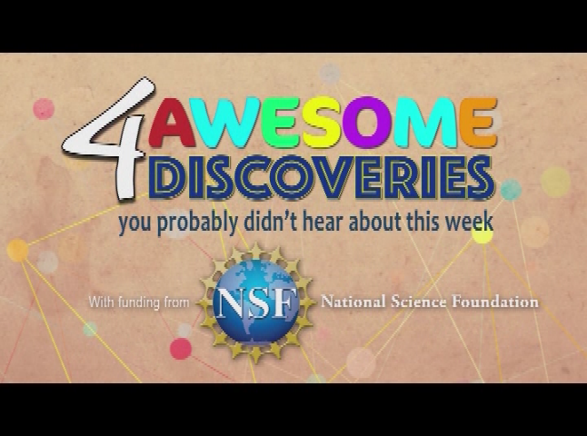 Thumbnail image for Science 360 Cutting Edge #77