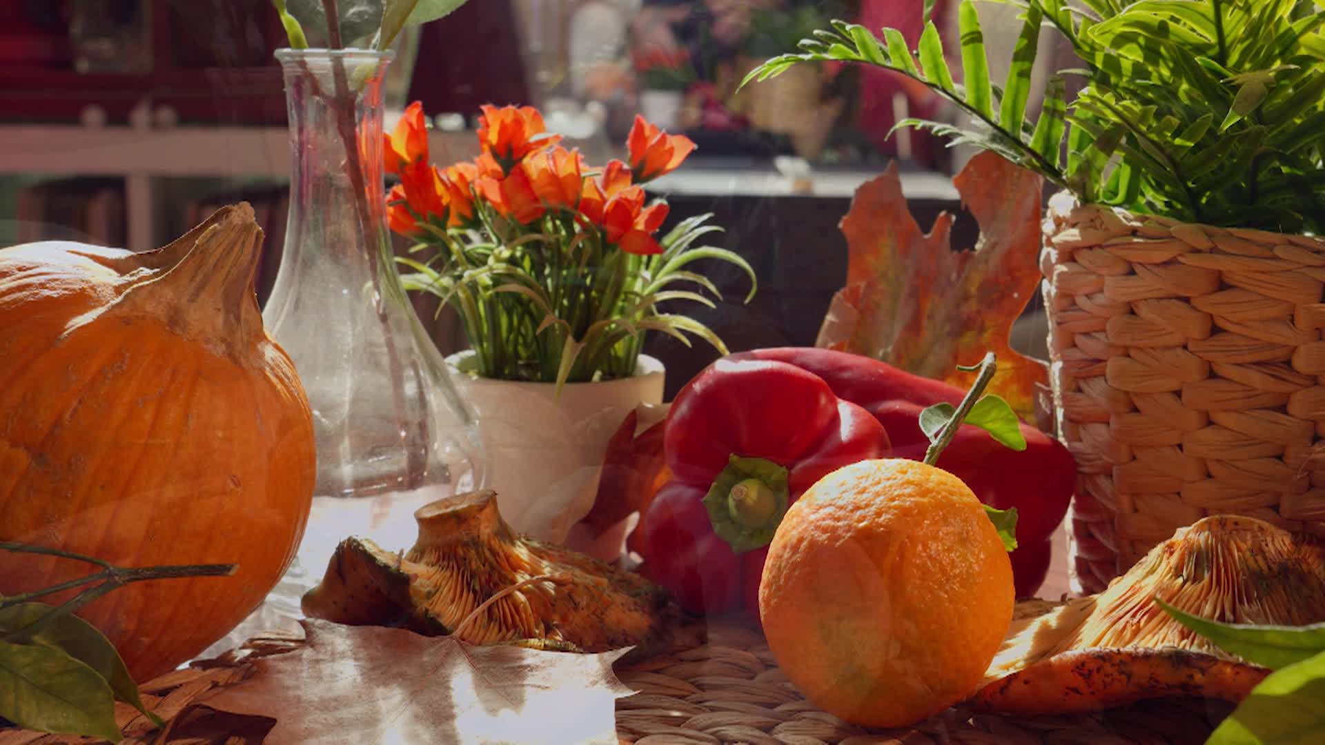 Thumbnail image for Happy Thanksgiving Promo 2