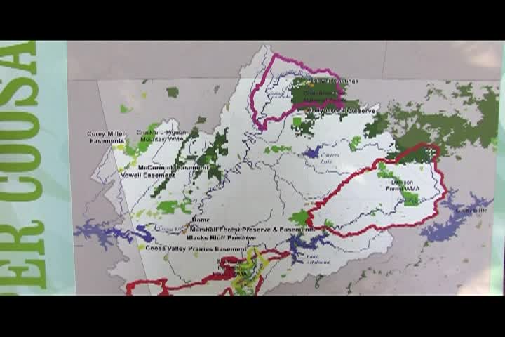 Thumbnail image for Nature Conservancy:Marshall Forest Preserve