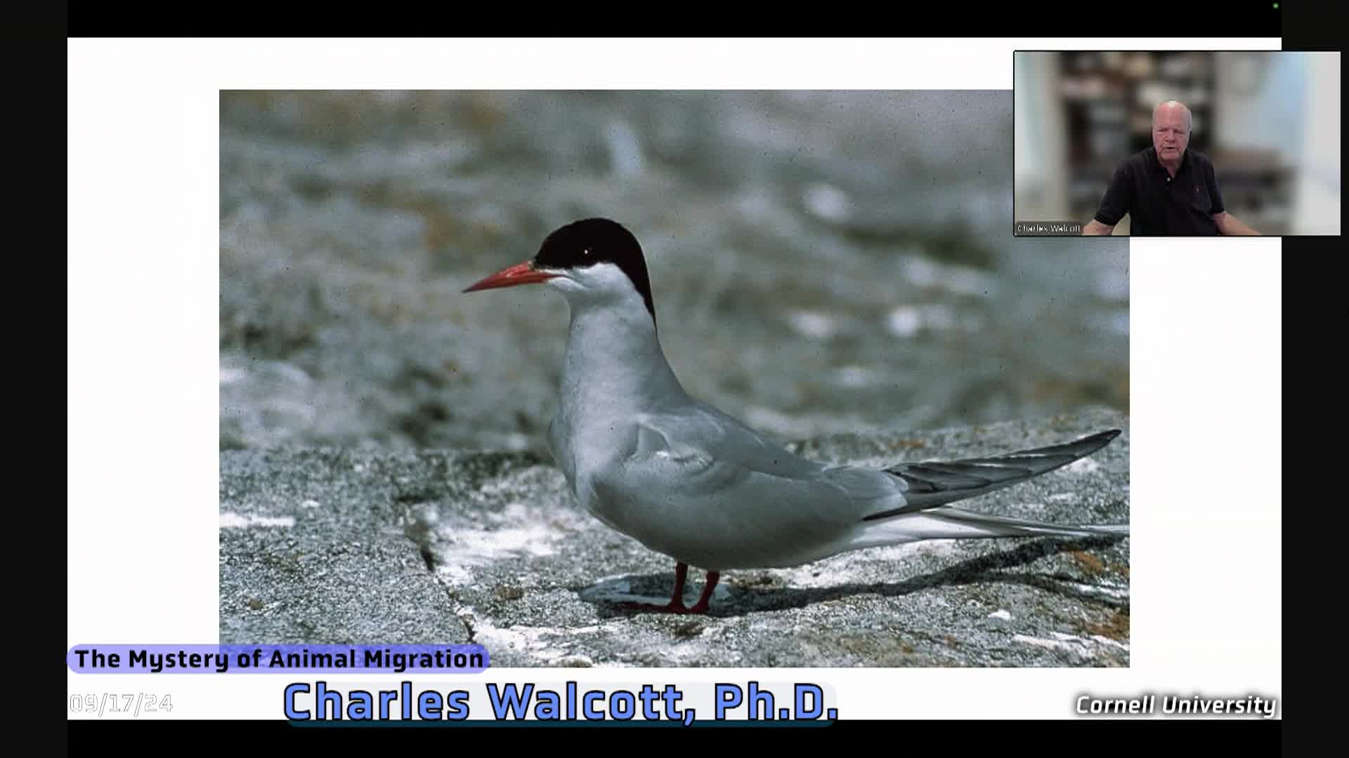 Contemporary Science: Bird Migration