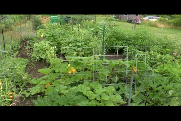 What's Cooking In Town: Beef & Oyster Stew