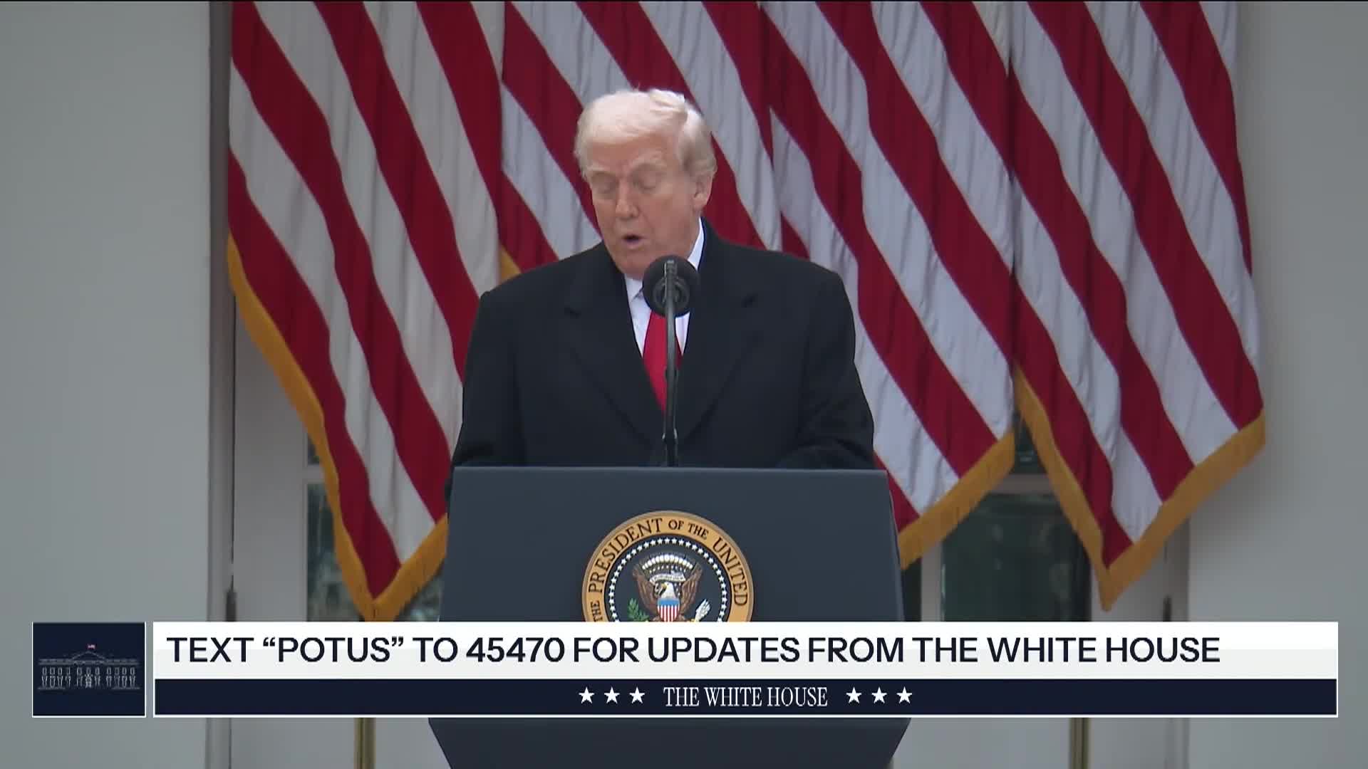 President Pardons National Turkey