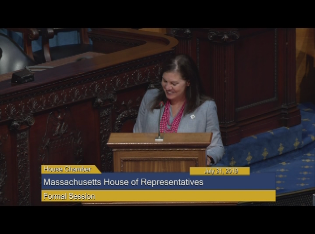 Thumbnail image for MA House of Representatives, July 31