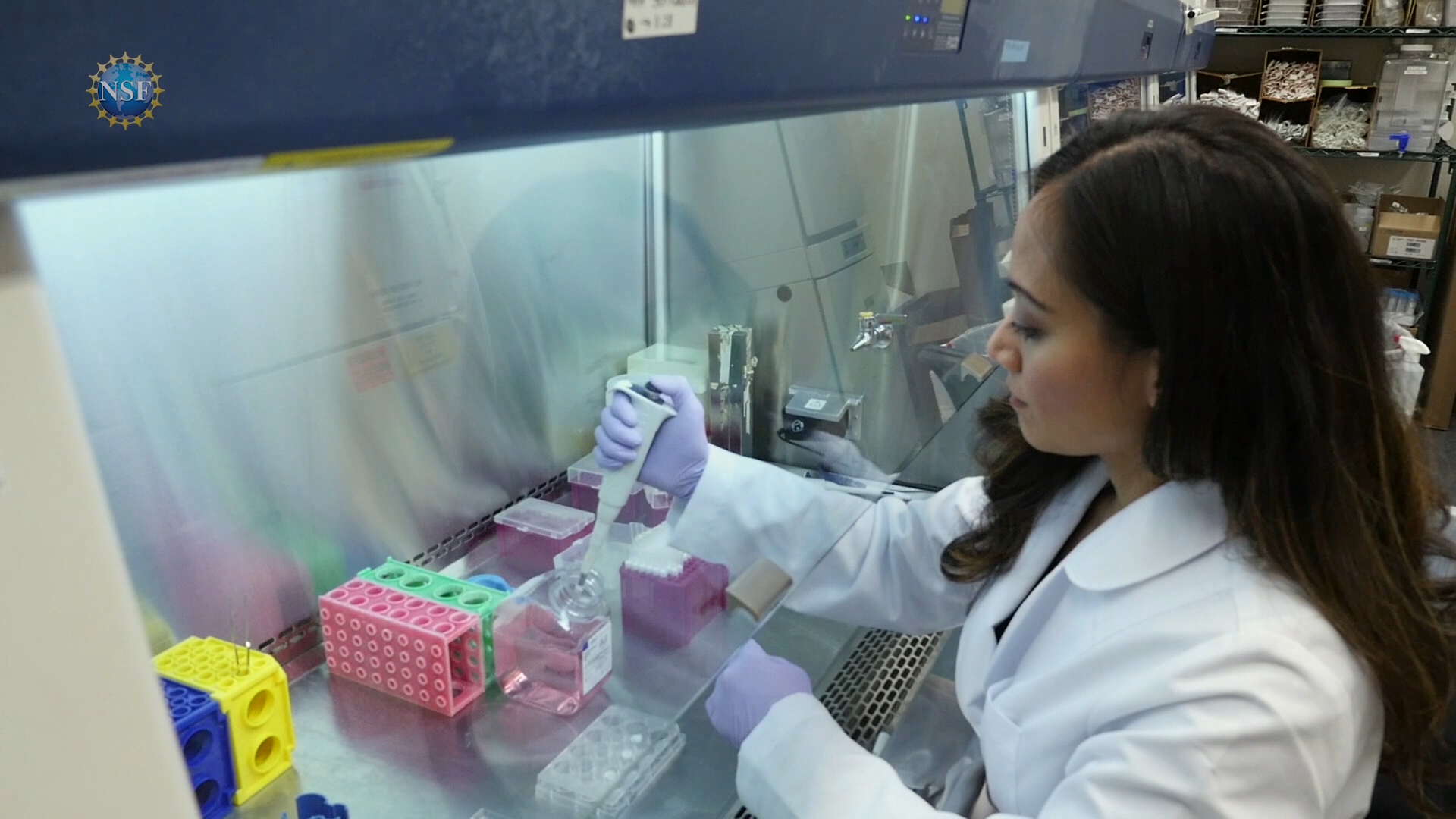 Thumbnail image for Science 360 Cutting Edge #65