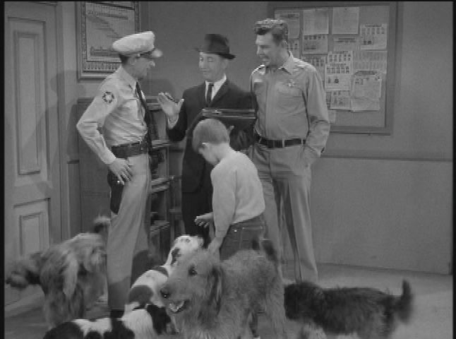 Vintage TV: The Andy Griffith Show: Dogs, Dogs, Dogs.