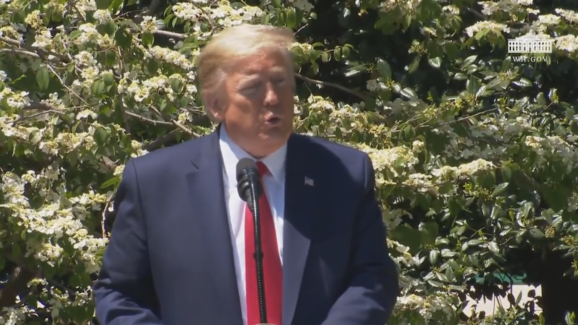 Thumbnail image for White House Tree Planting Ceremony