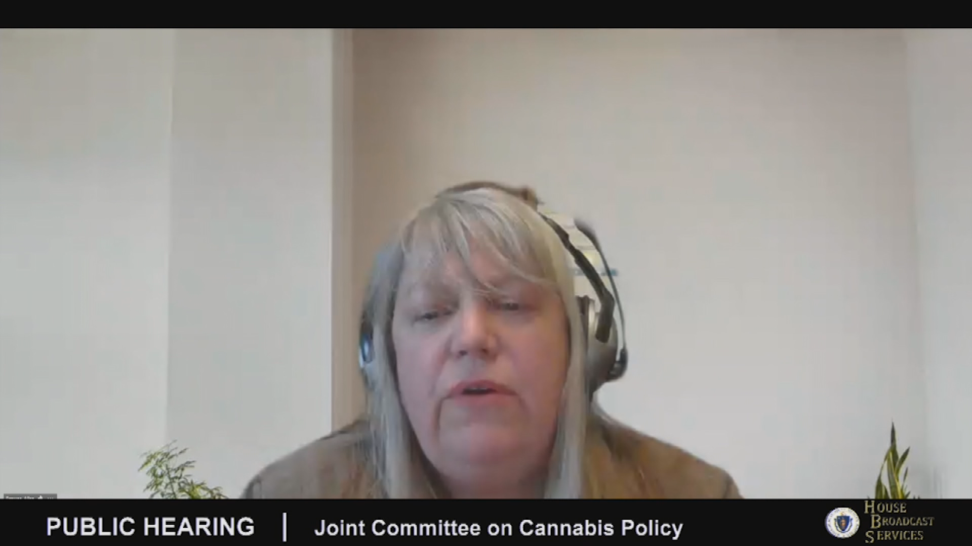 Thumbnail image for MA Joint Committee on Cannabis, part 2, May 11