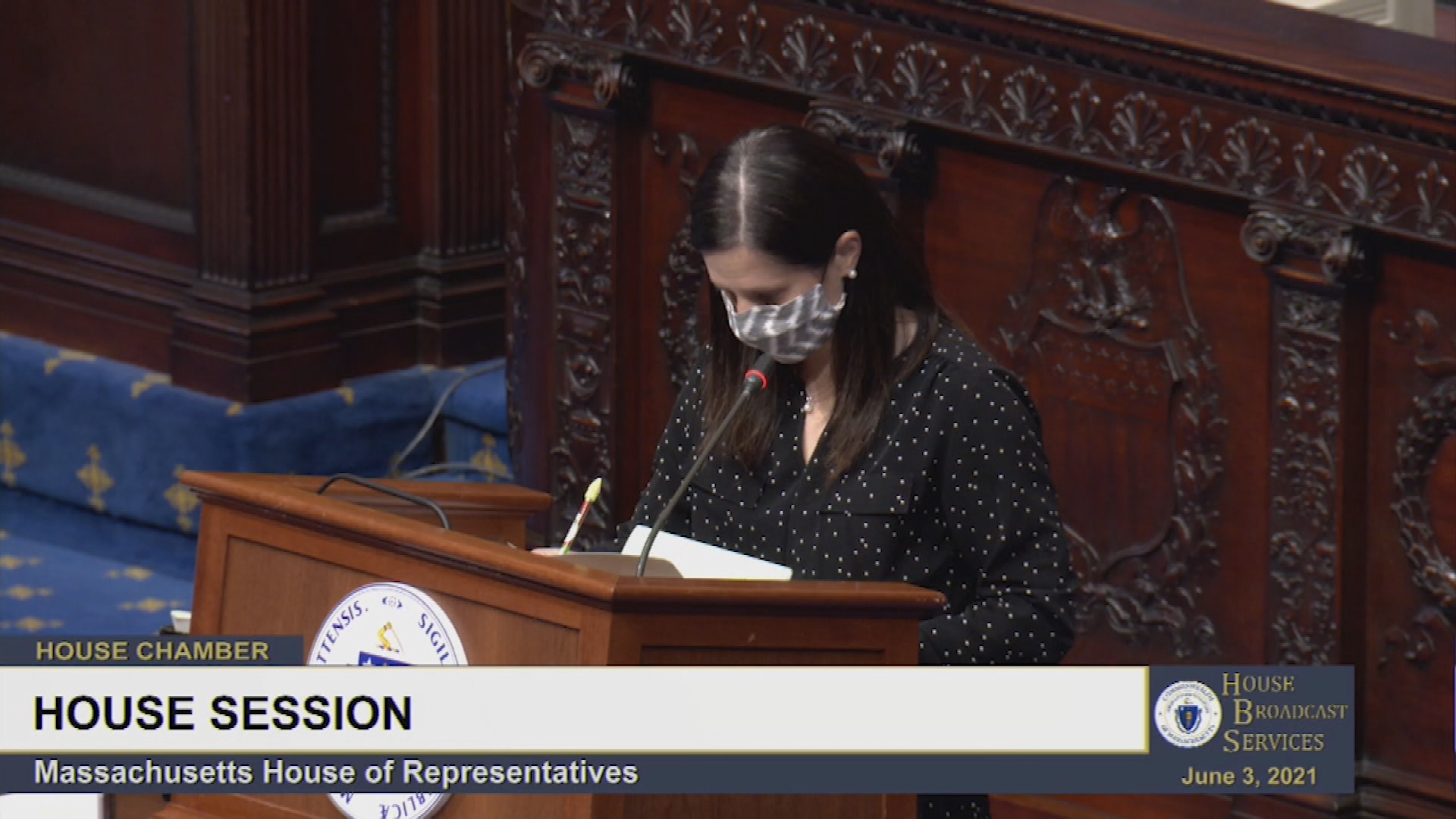 Thumbnail image for MA House of Representatives, June 3