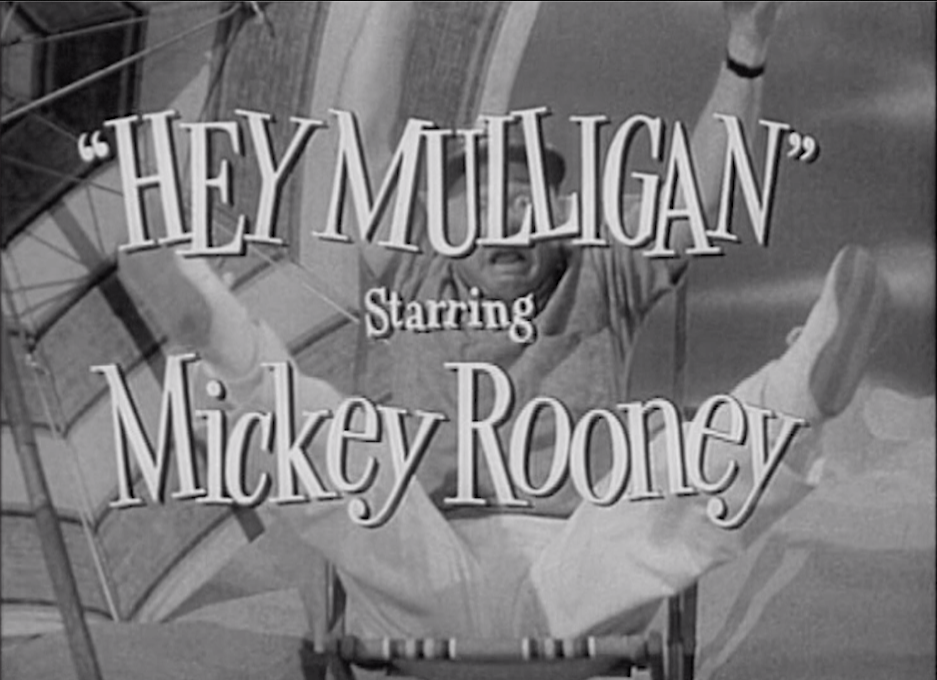 Mickey Rooney Show