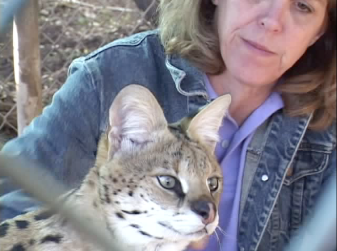 Thumbnail image for Out and About With Roger Martin: California Wildlife Preserve