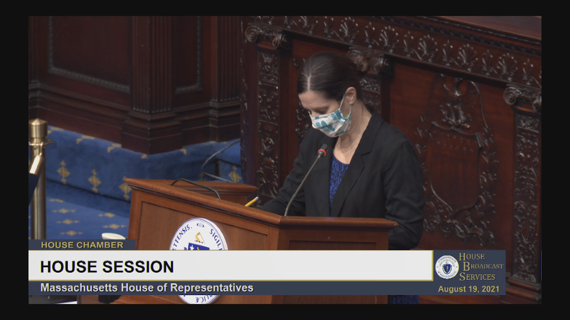 Thumbnail image for MA House of Representatives, Aug. 19