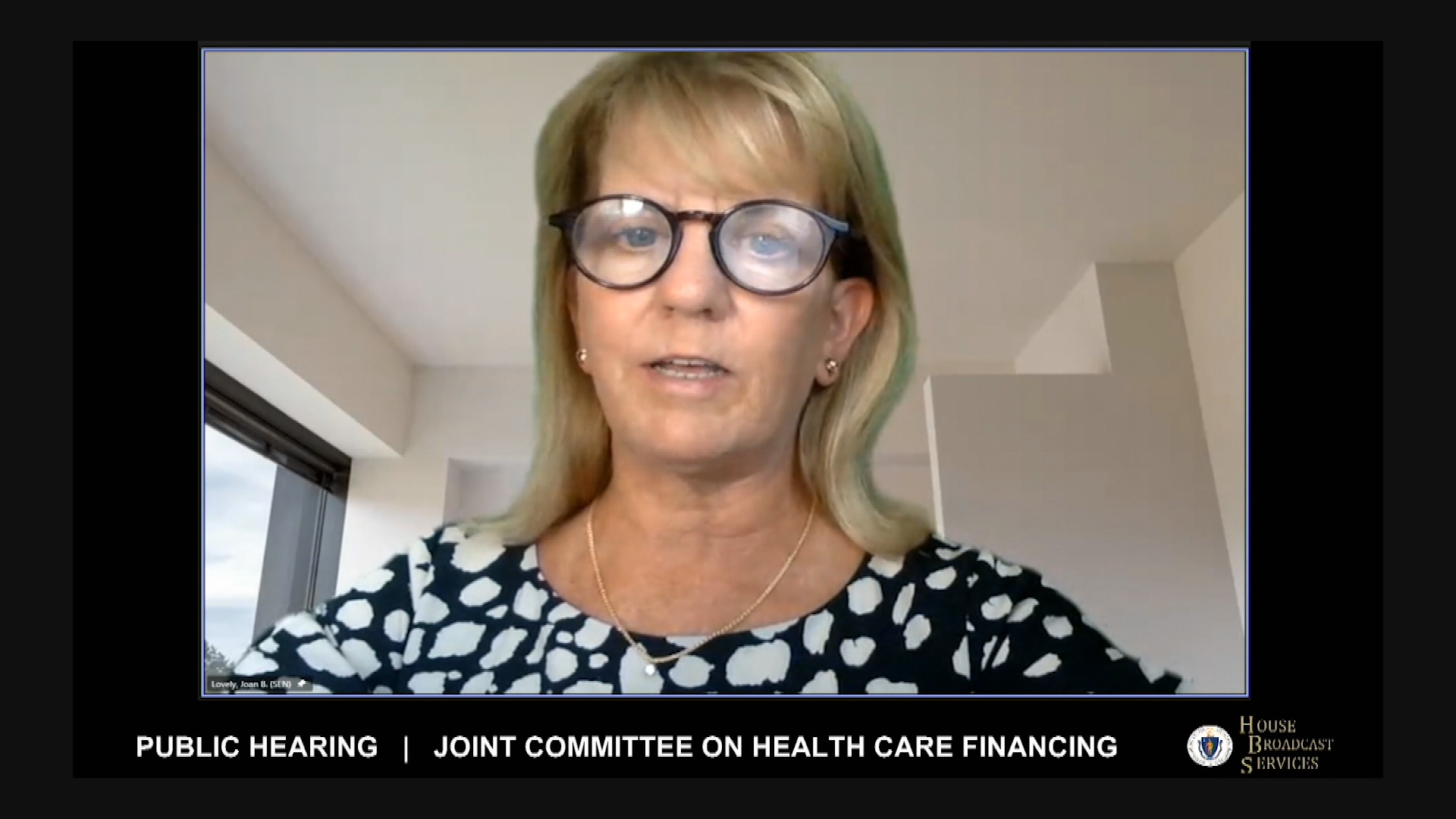 Thumbnail image for MA Committee on Health Care Financing, Sept. 14