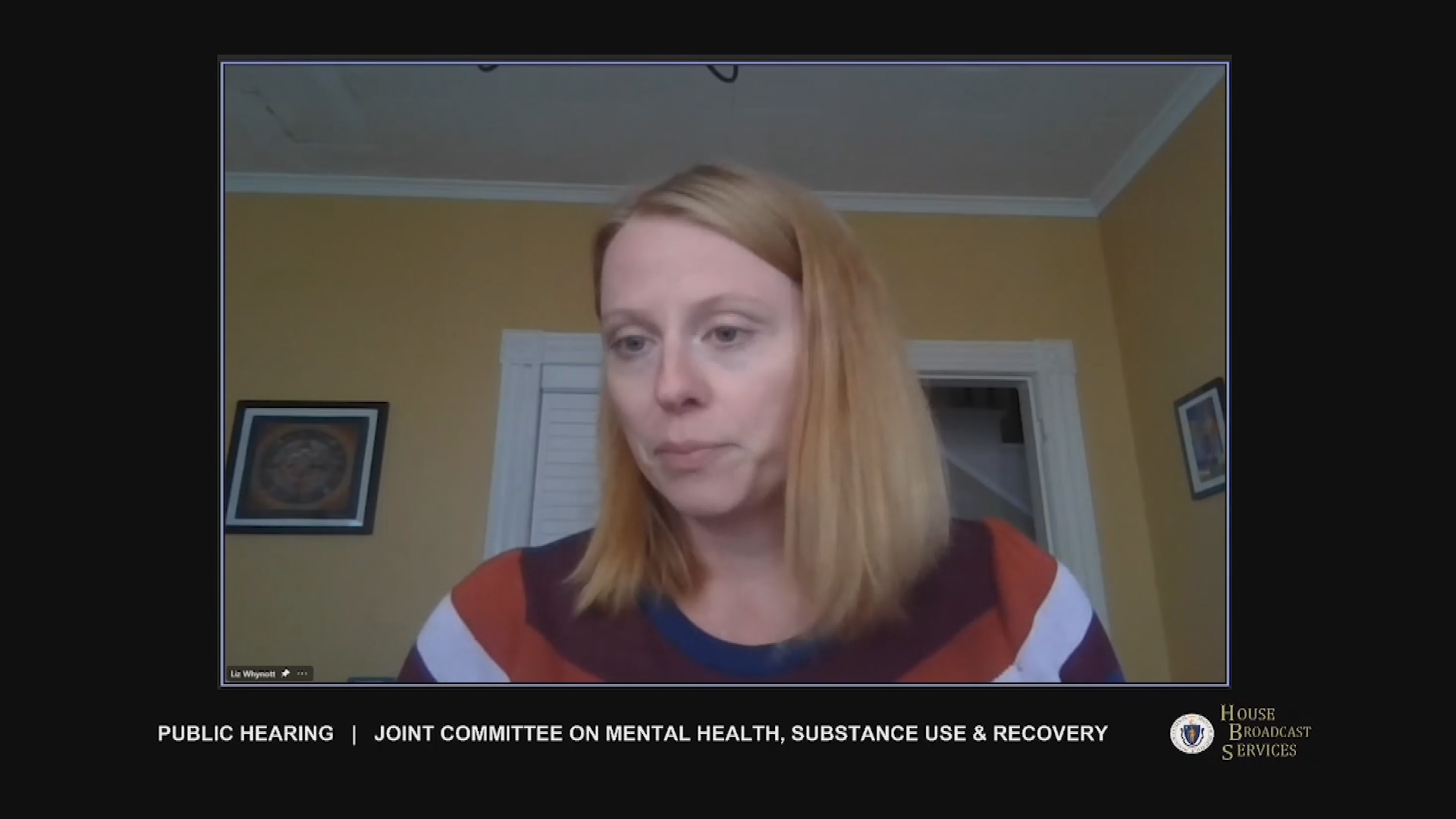Thumbnail image for MA Committee on Mental Health, part 2
