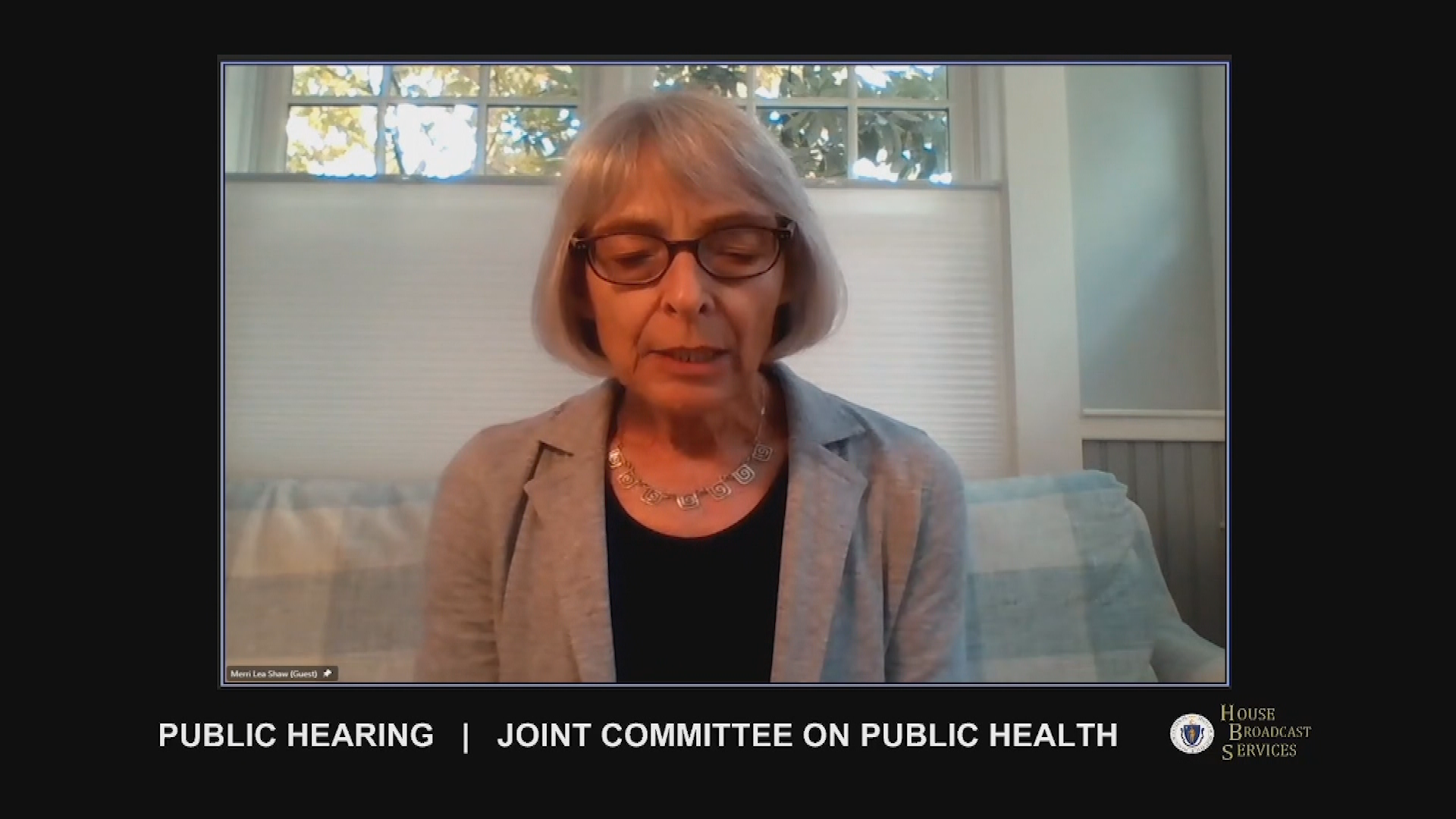 Thumbnail image for MA Committee on Public Health, Oct. 1, part 3