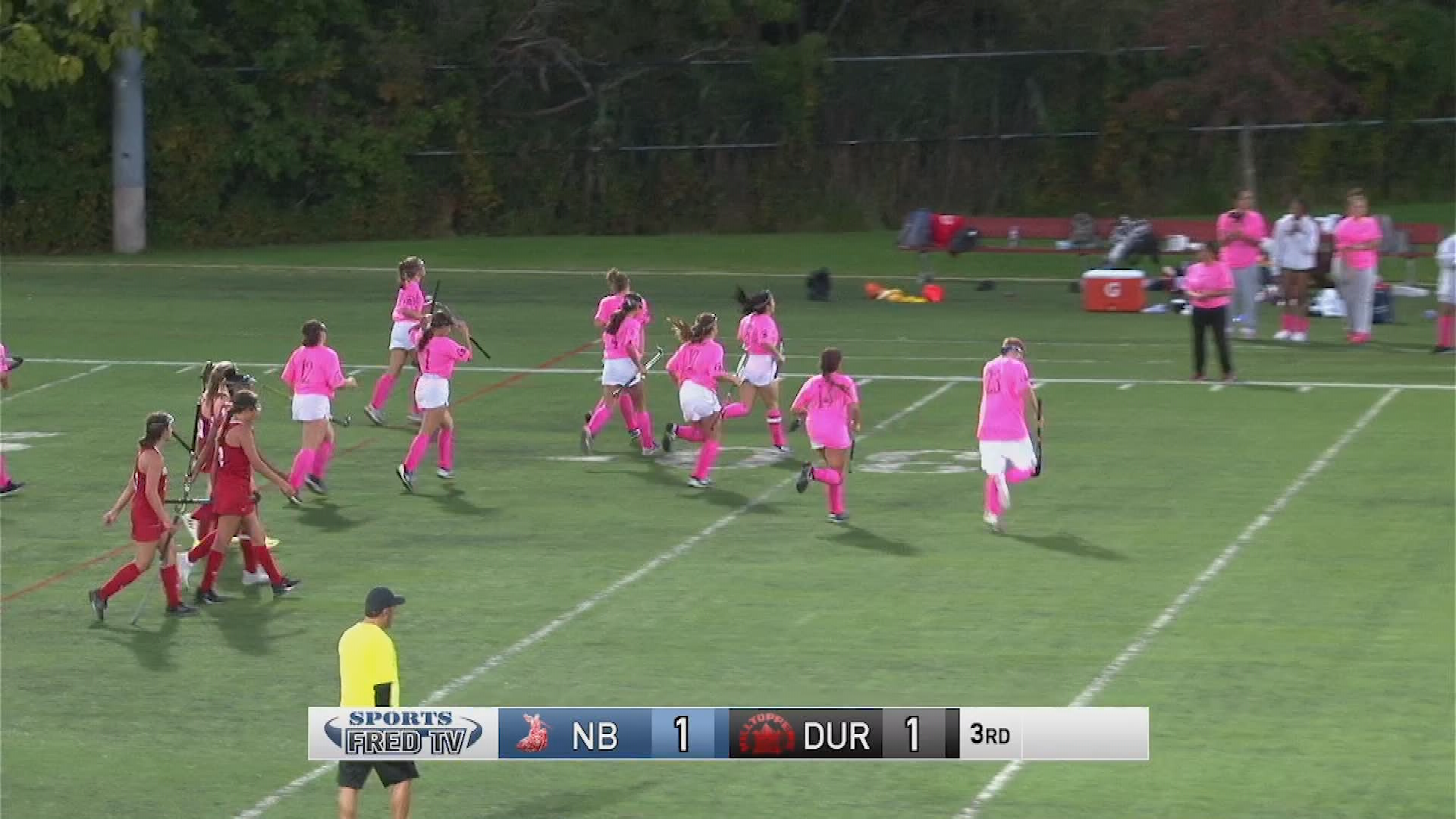 Thumbnail image for Field Hockey: NB at Durfee, Oct. 6