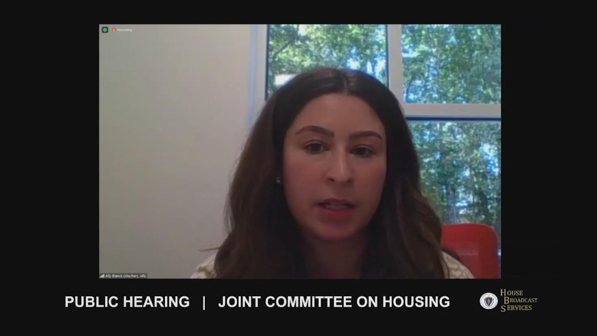 Thumbnail image for MA Joint Committee on Housing