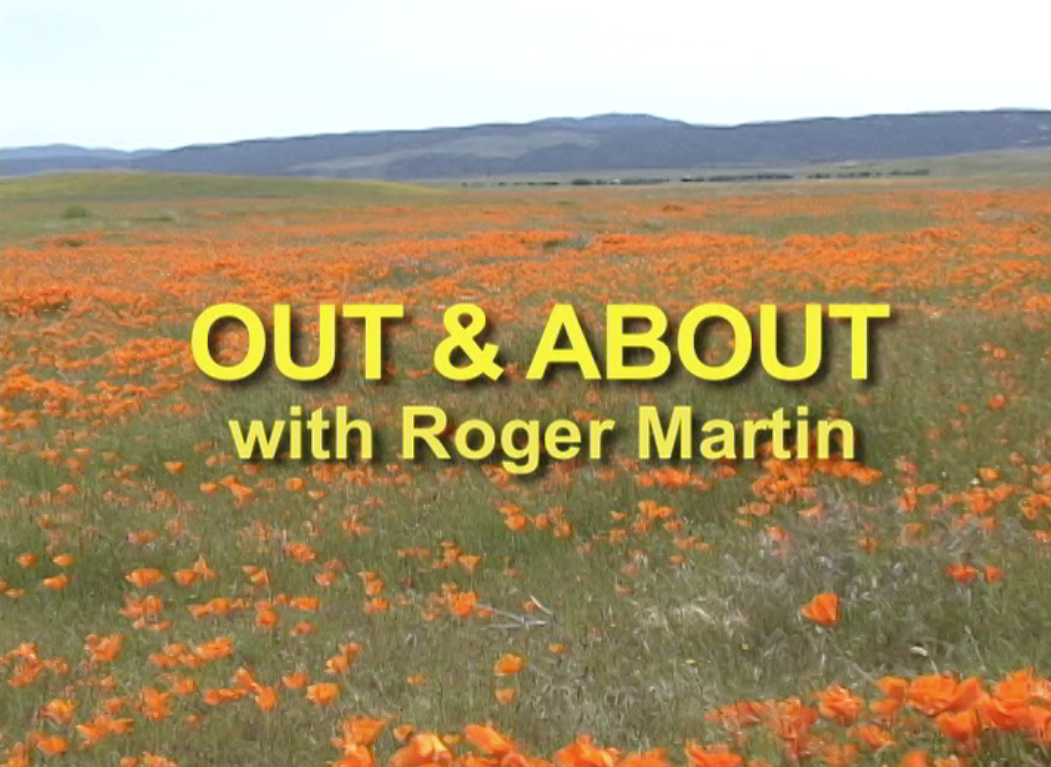Thumbnail image for Out & About With Roger Martin: Cats & Elizabethan Costumes