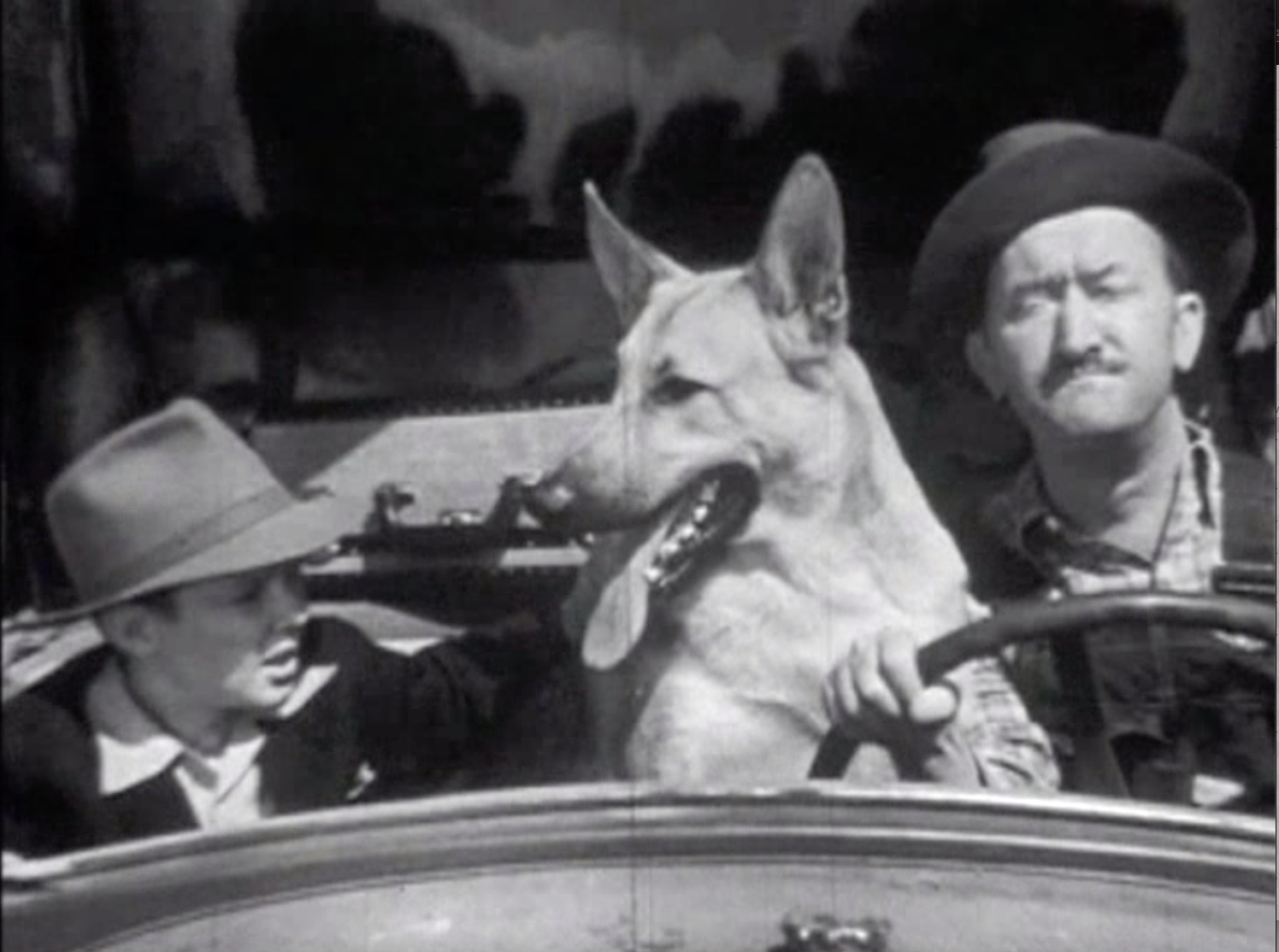 Classic Movie:My Dog She