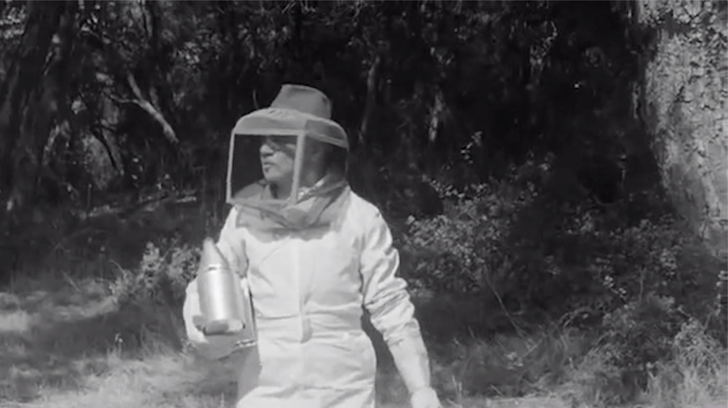 Classic Movie: The Wasp Woman