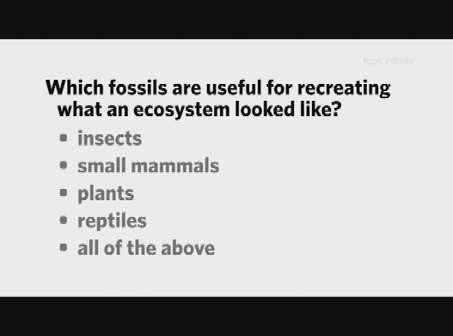 Thumbnail image for Science How? Mass Extinction