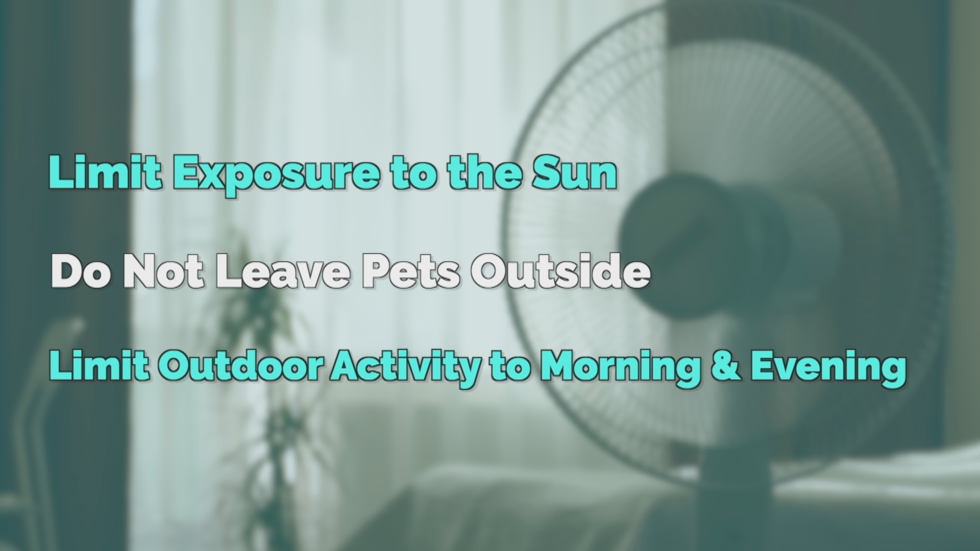 Thumbnail image for Extreme Heat Safety Tips