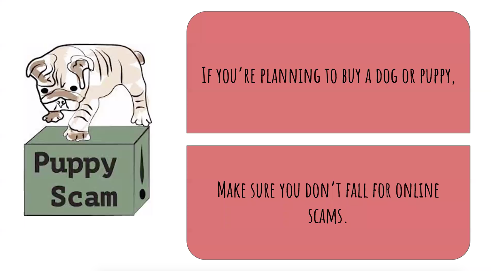 Thumbnail image for Puppy Scam