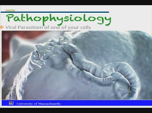 Thumbnail image for UMD Lecture: James Griffith on Ebola