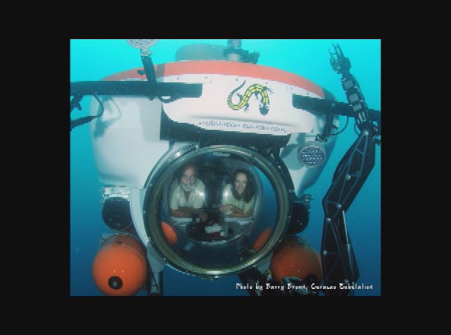 Science How? Trap Jaw Spiders