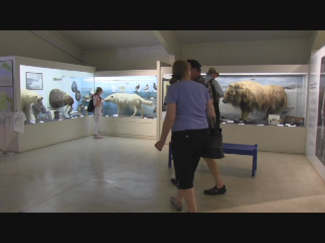 Cape Conversation: Pilgrim Monument