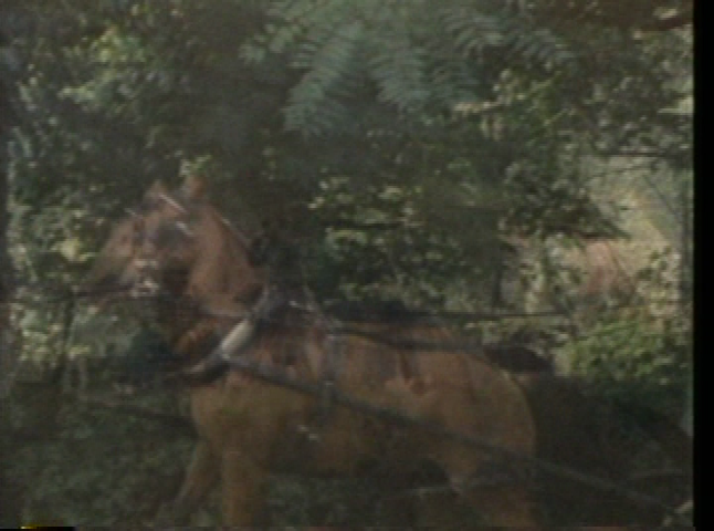 Thumbnail image for Antietam Visit